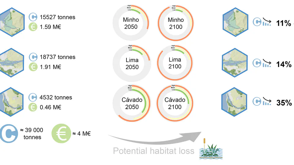 Quantifying the role of saltmarsh as a vulnerable carbon sink: A case study from Northern Portugal