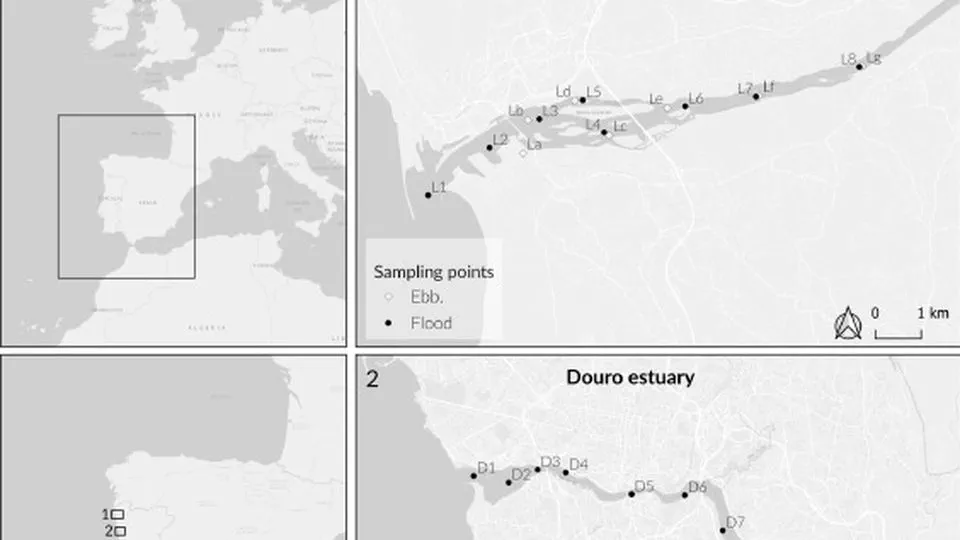 Physicochemical dataset from Lima and Douro estuaries (Northwest Portugal)